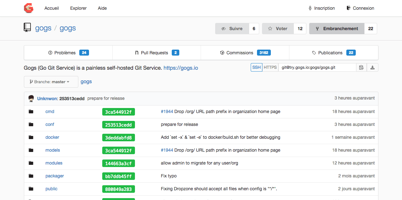 5656040d24a04 gogs screenshot